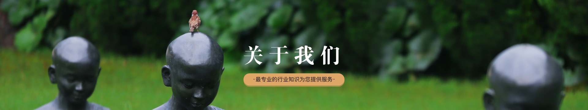 成都宠回星球宠物火化